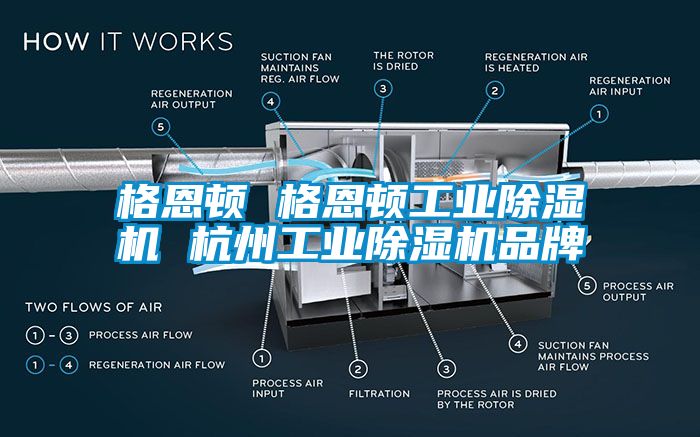 格恩頓 格恩頓工業(yè)除濕機 杭州工業(yè)除濕機品牌