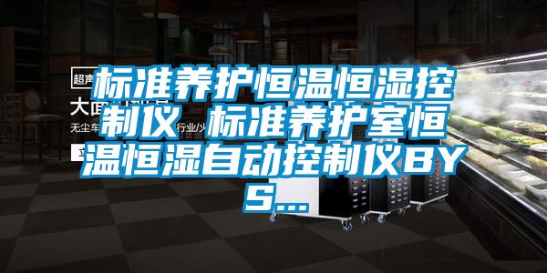 標準養(yǎng)護恒溫恒濕控制儀 標準養(yǎng)護室恒溫恒濕自動控制儀BYS...