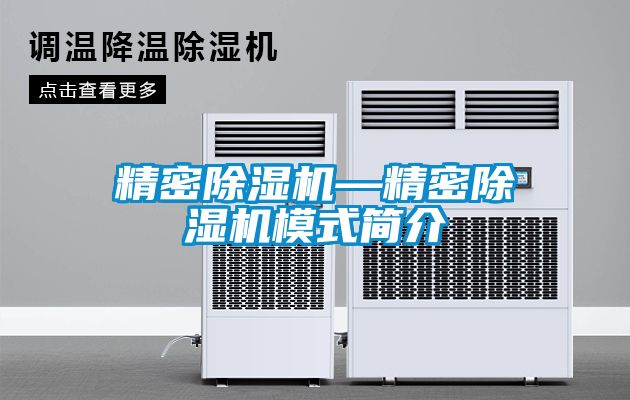 精密除濕機(jī)—精密除濕機(jī)模式簡介