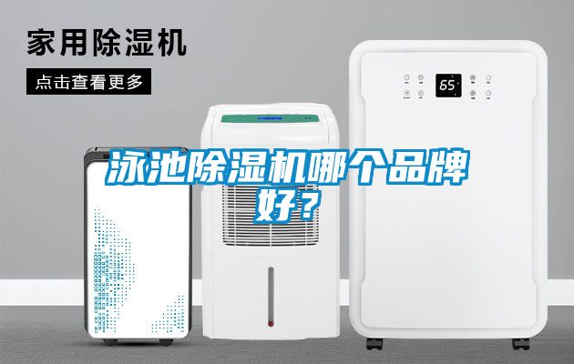 泳池除濕機哪個品牌好？