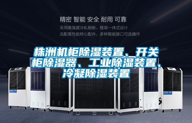 株洲機柜除濕裝置、開關柜除濕器、工業(yè)除濕裝置、冷凝除濕裝置