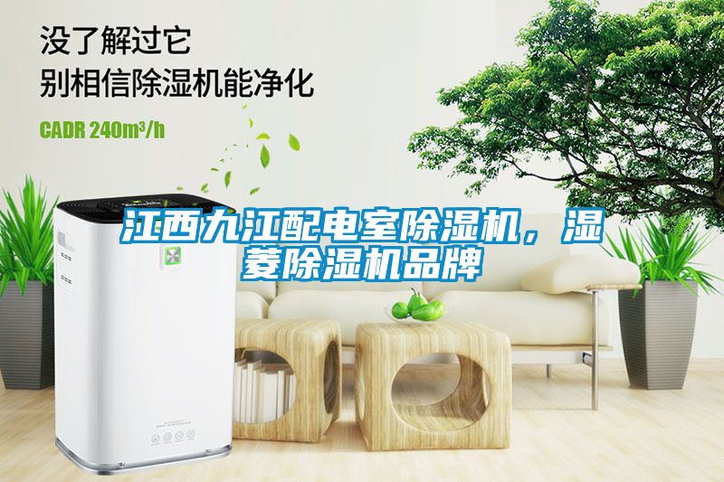 江西九江配電室除濕機，濕菱除濕機品牌