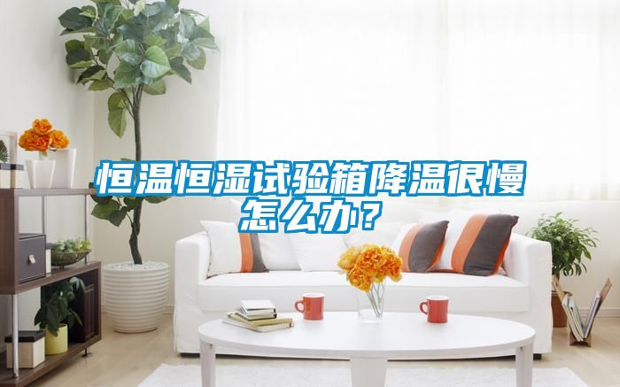 恒溫恒濕試驗(yàn)箱降溫很慢怎么辦？