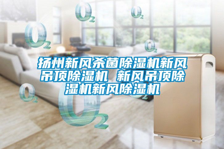 揚州新風殺菌除濕機新風吊頂除濕機 新風吊頂除濕機新風除濕機