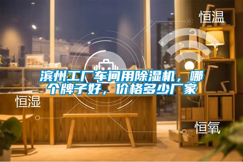 濱州工廠車間用除濕機，哪個牌子好，價格多少廠家