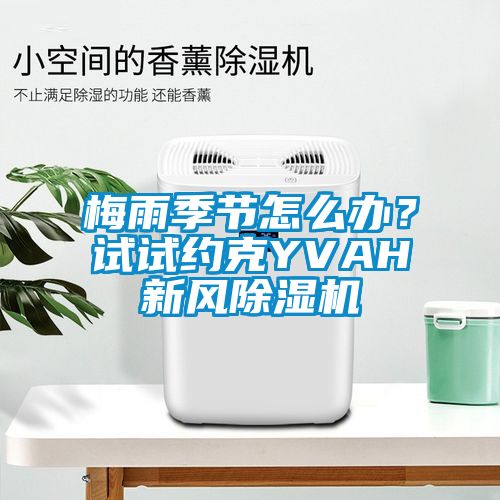 梅雨季節(jié)怎么辦？試試約克YVAH新風除濕機