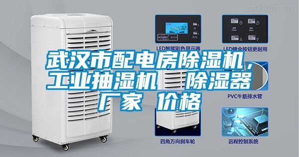 武漢市配電房除濕機(jī)，工業(yè)抽濕機(jī)  除濕器廠家 價(jià)格