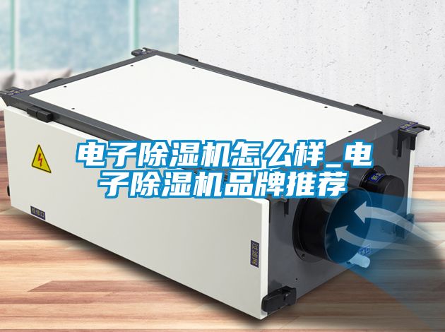 電子除濕機(jī)怎么樣_電子除濕機(jī)品牌推薦