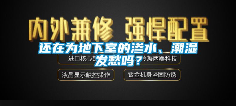 還在為地下室的滲水、潮濕發(fā)愁嗎？