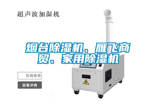 煙臺(tái)除濕機(jī)、雁飛商貿(mào)、家用除濕機(jī)