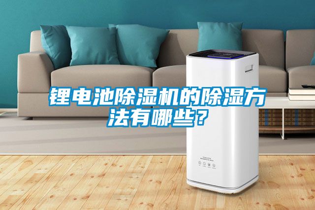 鋰電池除濕機(jī)的除濕方法有哪些？