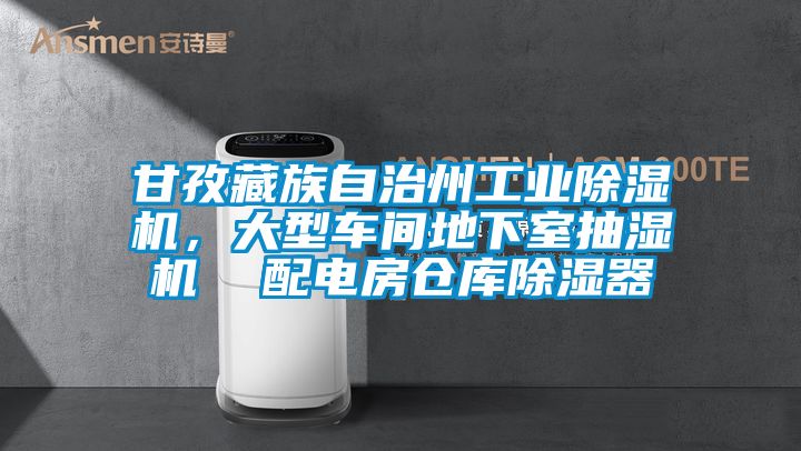 甘孜藏族自治州工業(yè)除濕機，大型車間地下室抽濕機  配電房倉庫除濕器