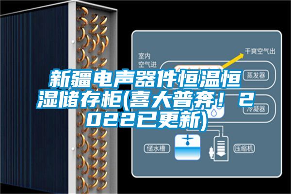 新疆電聲器件恒溫恒濕儲存柜(喜大普奔！2022已更新)