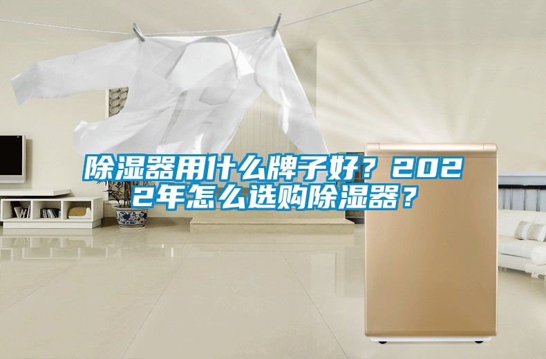 除濕器用什么牌子好？2022年怎么選購除濕器？