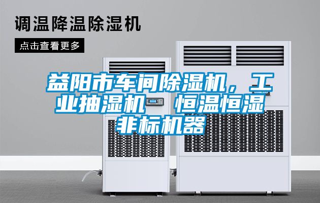 益陽市車間除濕機，工業(yè)抽濕機  恒溫恒濕非標機器