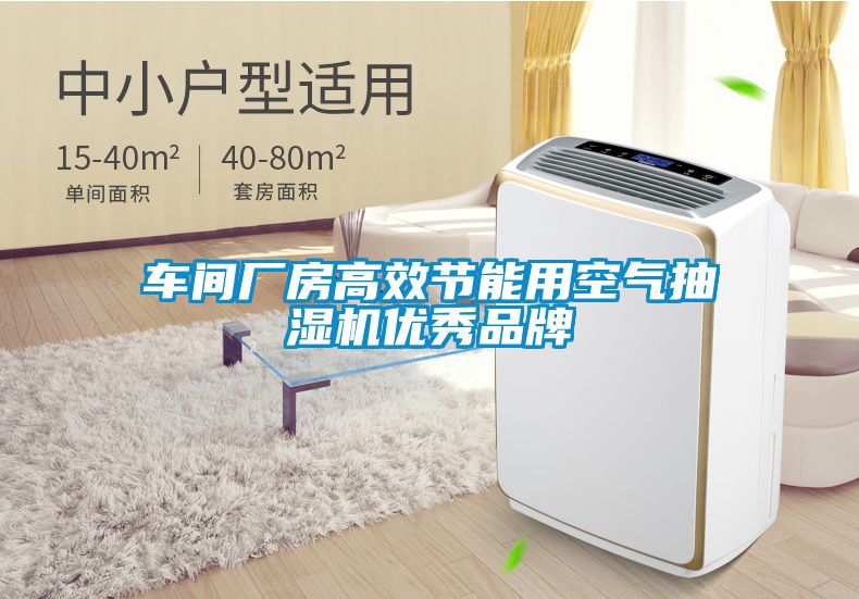 車間廠房高效節(jié)能用空氣抽濕機優(yōu)秀品牌