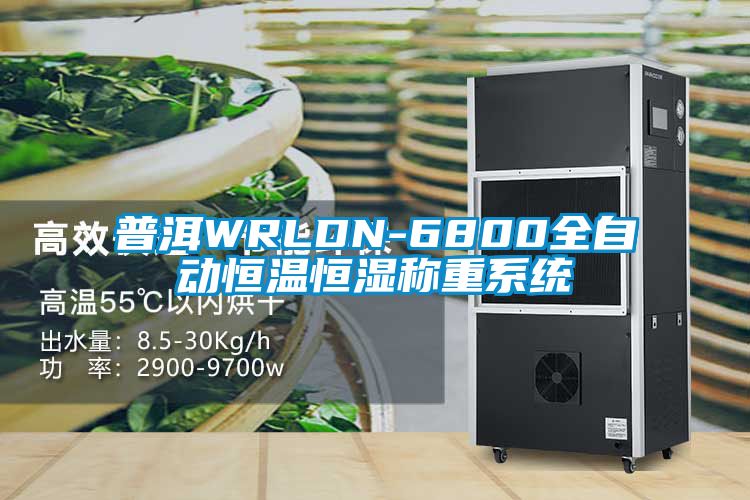 普洱WRLDN-6800全自動(dòng)恒溫恒濕稱重系統(tǒng)