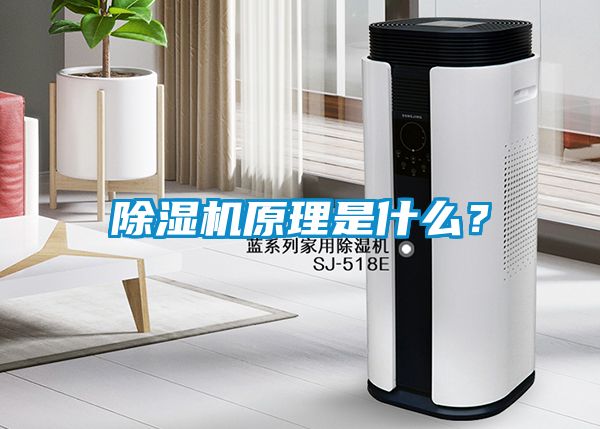 除濕機(jī)原理是什么？