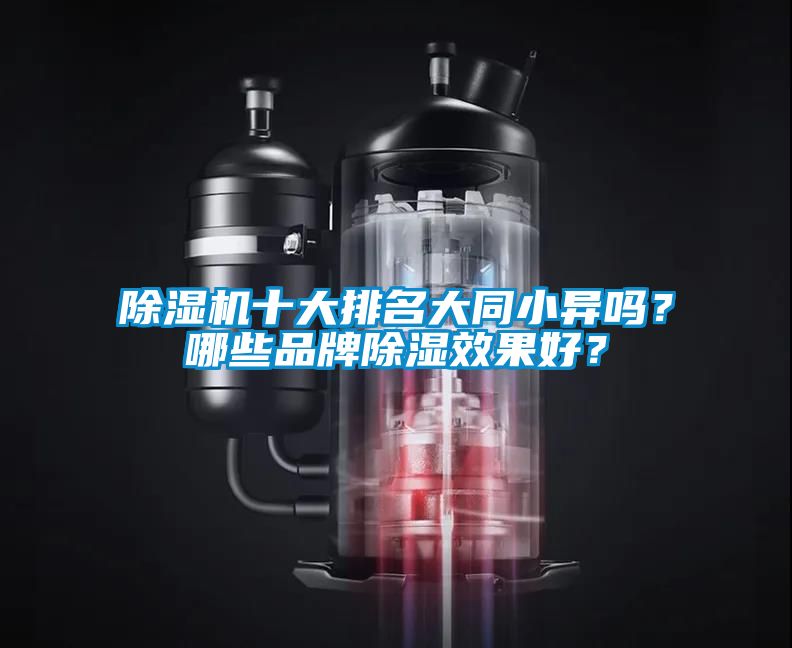 除濕機(jī)十大排名大同小異嗎？哪些品牌除濕效果好？