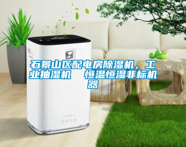 石景山區(qū)配電房除濕機(jī)，工業(yè)抽濕機(jī)  恒溫恒濕非標(biāo)機(jī)器