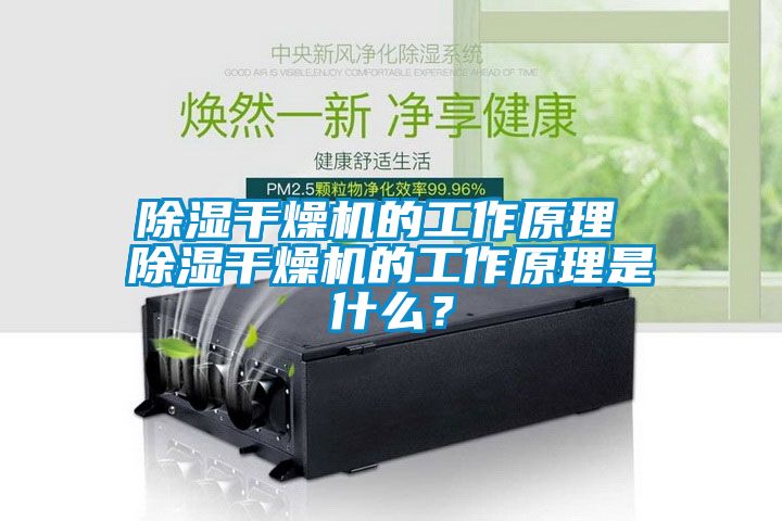 除濕干燥機的工作原理 除濕干燥機的工作原理是什么？