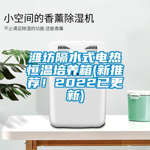 濰坊隔水式電熱恒溫培養(yǎng)箱(新推薦！2022已更新)