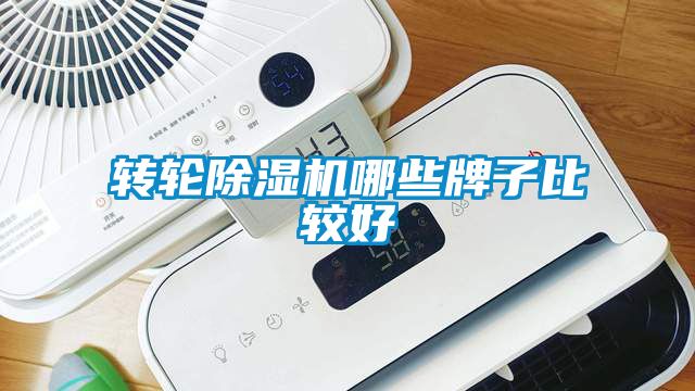 轉輪除濕機哪些牌子比較好