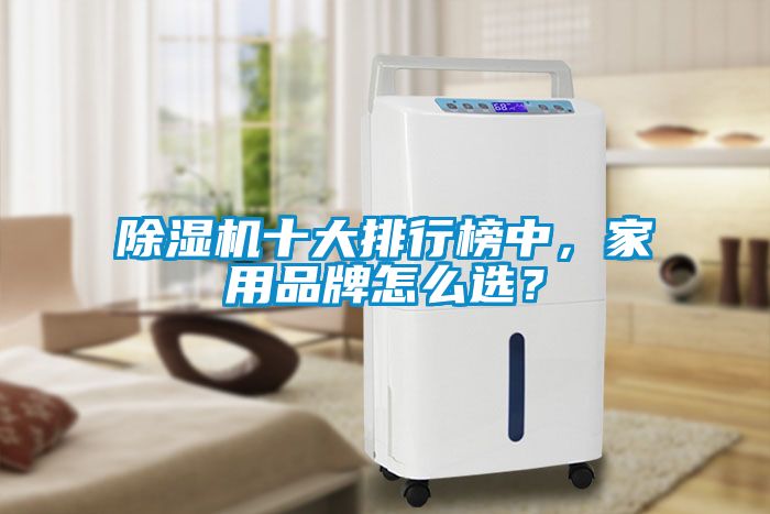 除濕機十大排行榜中，家用品牌怎么選？