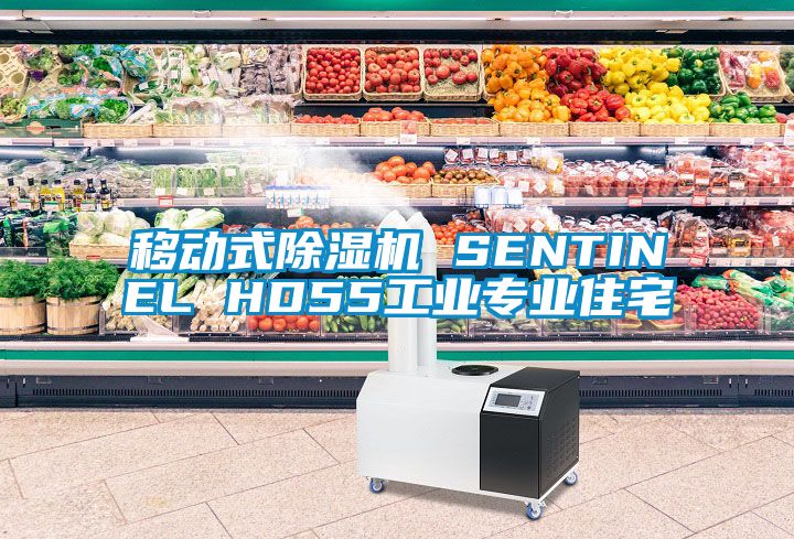 移動式除濕機(jī) SENTINEL HD55工業(yè)專業(yè)住宅