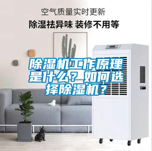 除濕機(jī)工作原理是什么？如何選擇除濕機(jī)？