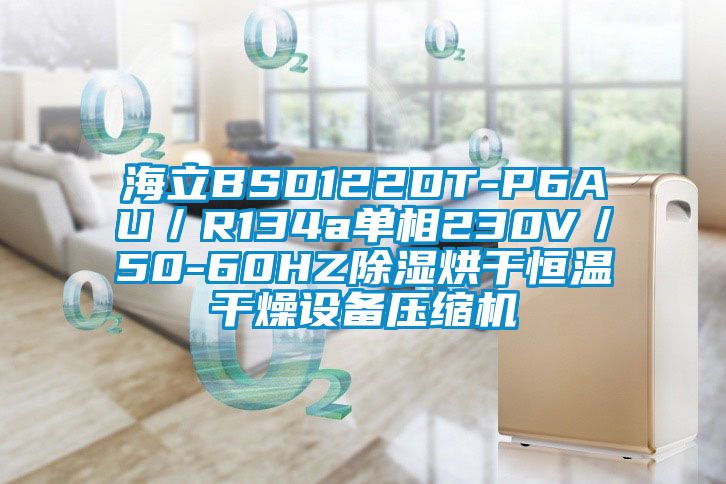 海立BSD122DT-P6AU／R134a單相230V／50-60HZ除濕烘干恒溫干燥設(shè)備壓縮機