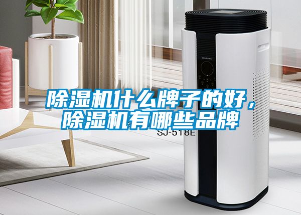 除濕機什么牌子的好，除濕機有哪些品牌