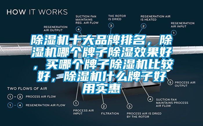 除濕機(jī)十大品牌排名，除濕機(jī)哪個(gè)牌子除濕效果好，買哪個(gè)牌子除濕機(jī)比較好，除濕機(jī)什么牌子好用實(shí)惠