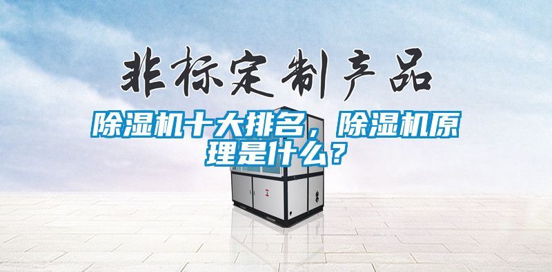 除濕機十大排名，除濕機原理是什么？