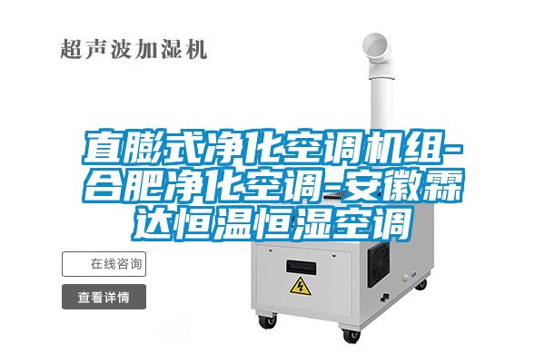 直膨式凈化空調(diào)機(jī)組-合肥凈化空調(diào)-安徽霖達(dá)恒溫恒濕空調(diào)