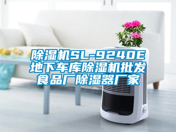 除濕機(jī)SL-9240E地下車庫除濕機(jī)批發(fā)食品廠除濕器廠家