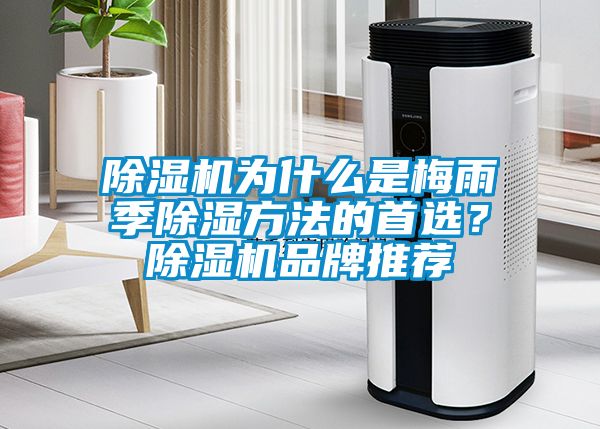 除濕機(jī)為什么是梅雨季除濕方法的首選？除濕機(jī)品牌推薦