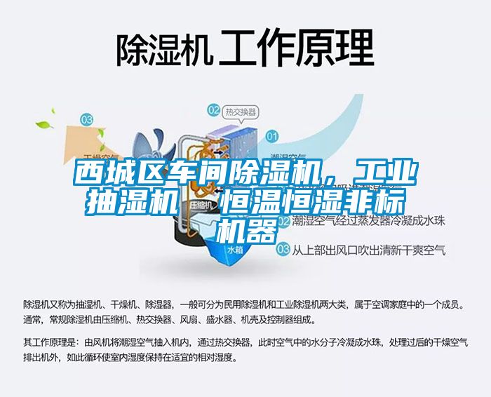 西城區(qū)車間除濕機，工業(yè)抽濕機  恒溫恒濕非標機器