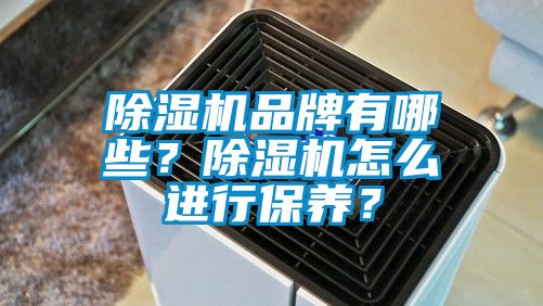 除濕機品牌有哪些？除濕機怎么進行保養(yǎng)？