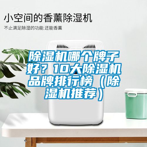 除濕機(jī)哪個(gè)牌子好？10大除濕機(jī)品牌排行榜（除濕機(jī)推薦）