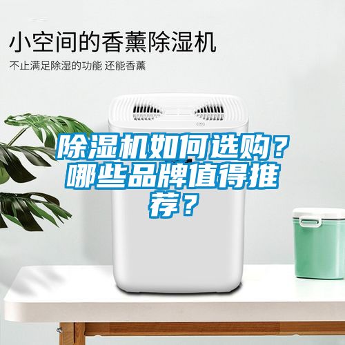 除濕機如何選購？哪些品牌值得推薦？