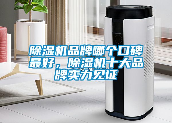 除濕機(jī)品牌哪個口碑最好，除濕機(jī)十大品牌實力見證