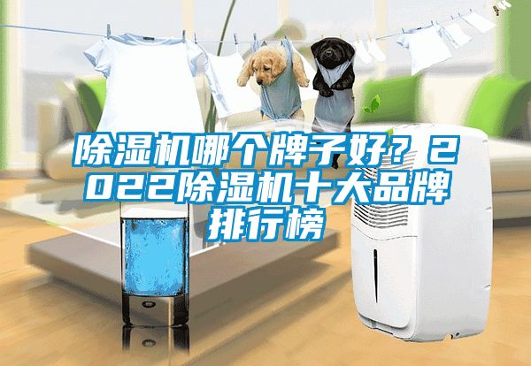 除濕機(jī)哪個(gè)牌子好？2022除濕機(jī)十大品牌排行榜