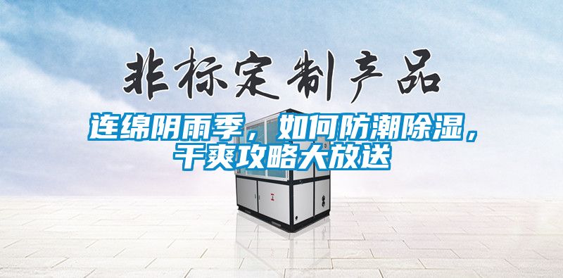 連綿陰雨季，如何防潮除濕，干爽攻略大放送