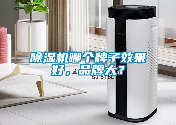 除濕機哪個牌子效果好，品牌大？