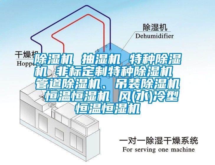 除濕機(jī) 抽濕機(jī) 特種除濕機(jī) 非標(biāo)定制特種除濕機(jī) 管道除濕機(jī)、吊裝除濕機(jī) 恒溫恒濕機(jī) 風(fēng)(水)冷型恒溫恒濕機(jī)