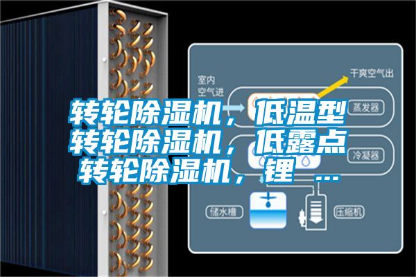 轉(zhuǎn)輪除濕機，低溫型轉(zhuǎn)輪除濕機，低露點轉(zhuǎn)輪除濕機，鋰 ...