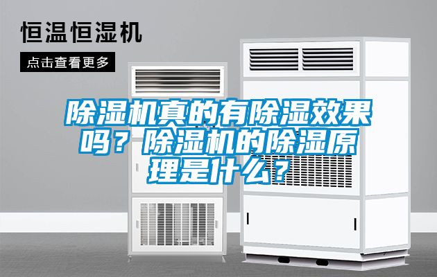 除濕機真的有除濕效果嗎？除濕機的除濕原理是什么？