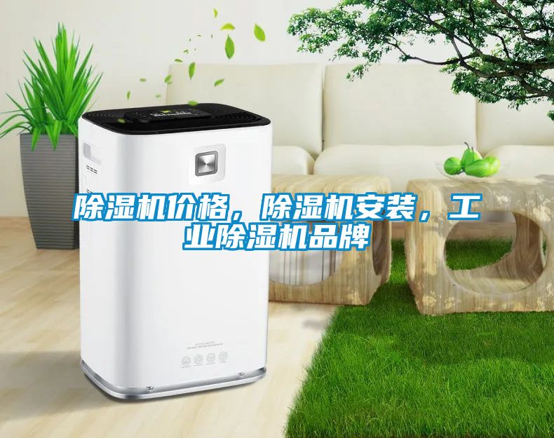 除濕機價格，除濕機安裝，工業(yè)除濕機品牌