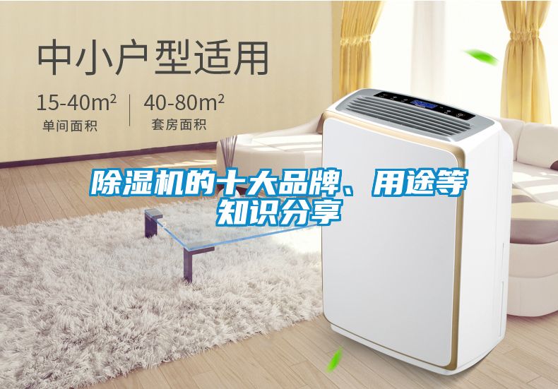 除濕機的十大品牌、用途等知識分享